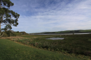 tomales-bay-lodging-eight