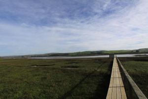 tomales-bay-lodging-one