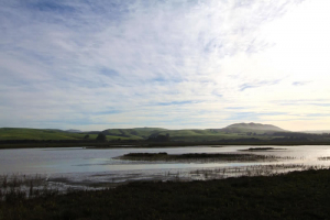 tomales-bay-lodging-seven