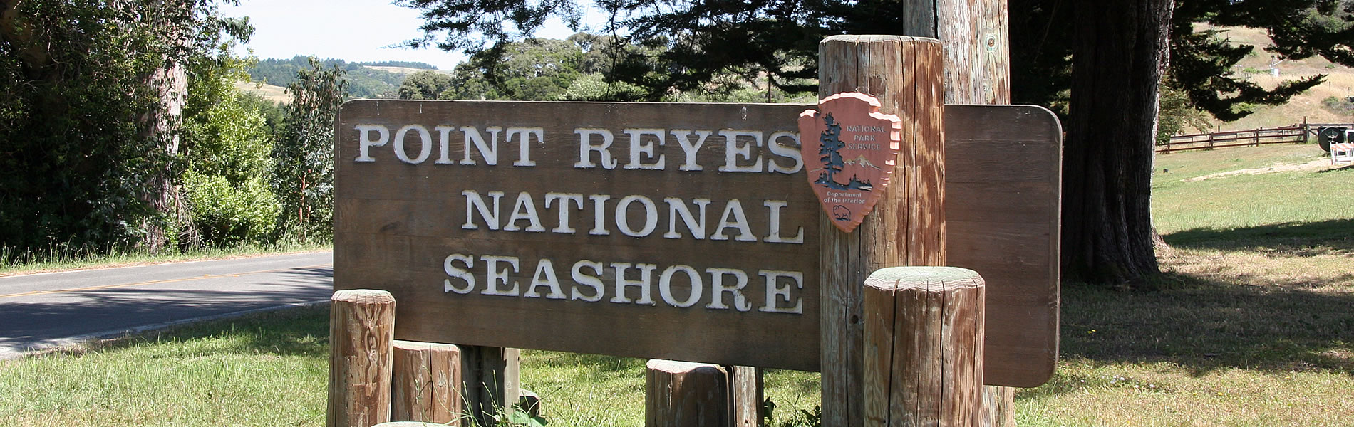 point reyes national seashore