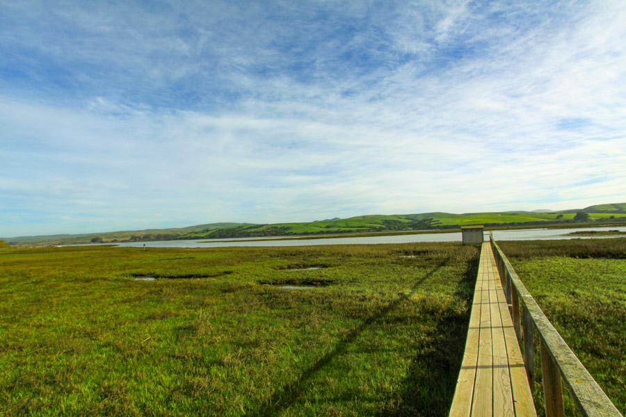 view of tomales bay from motel inverness